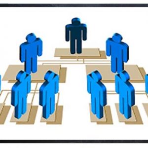 organisasi
