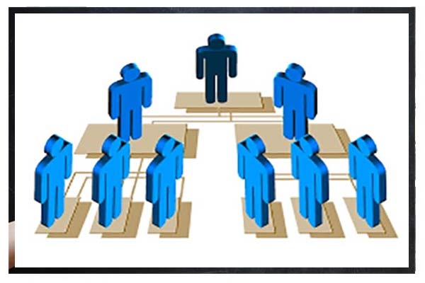 organisasi