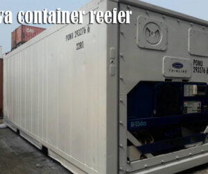 Menentukan Sewa Container Reefer