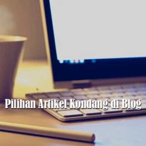 Pilihan Artikel Kondang di Blog