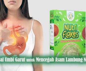 sereal umbi garut untuk mencegah asam lambung naik