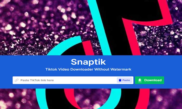 snaptik