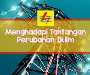 pln