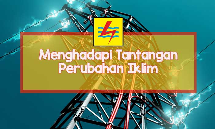 pln